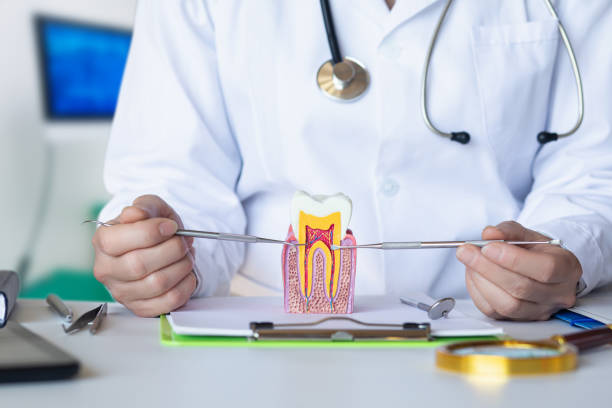 Best Broken or Chipped Tooth Repair in Allison Rk, PA